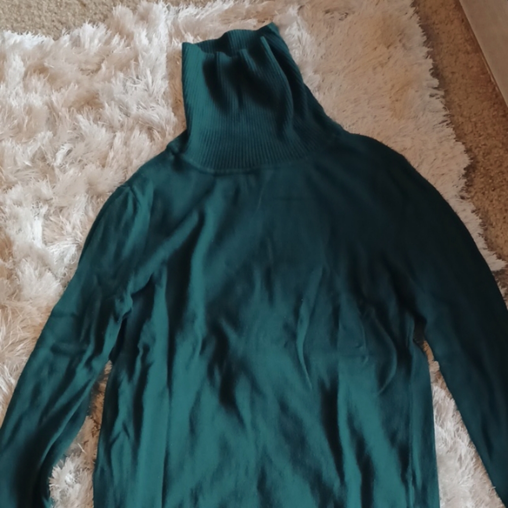 Banana Republic Turtleneck